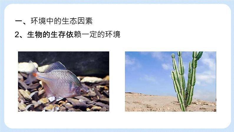 1.2.1 环境对生物的影响 课件+教案05