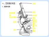 2.1.1 练习使用显微镜（第1课时）课件+教案