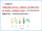 2.2.2 单细胞生物 课件+教案