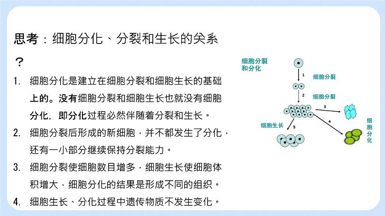 2.3.2  动物体的结构层次 课件第6页