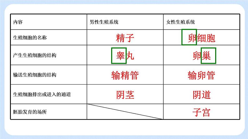 1.2《人的生殖》第2课时 课件第6页