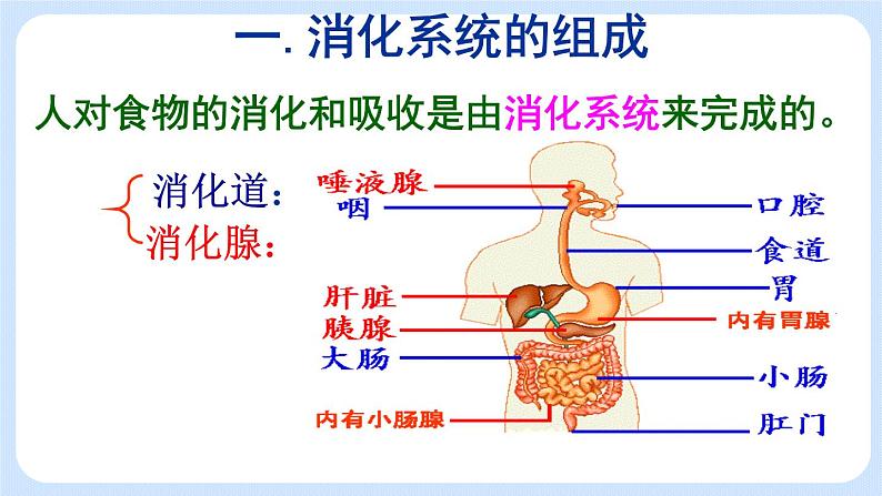 4.2.2《消化和吸收》课件第6页