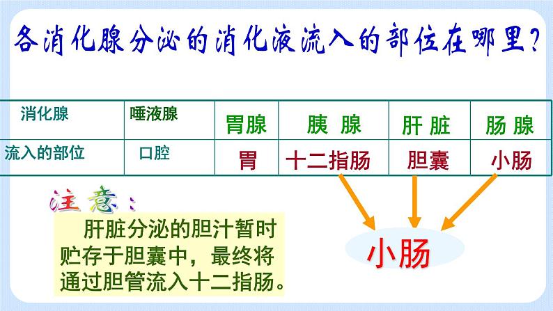 4.2.2《消化和吸收》课件第8页