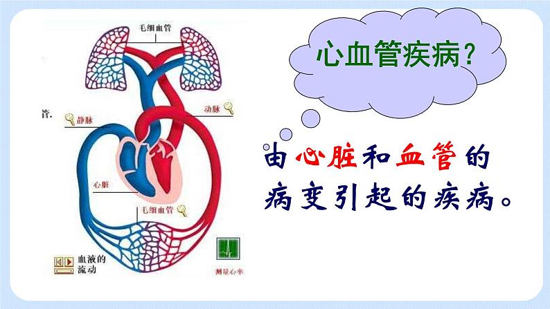 4.4.4《关注心血管健康》课件03