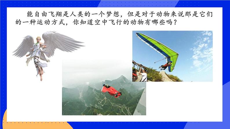 1.6 鸟 课件+素材01