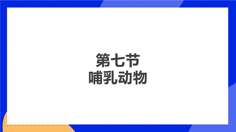 1.7 哺乳动物 课件+素材02