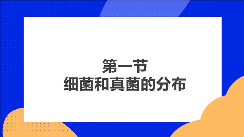 4.1 细菌和真菌的分布 课件第4页