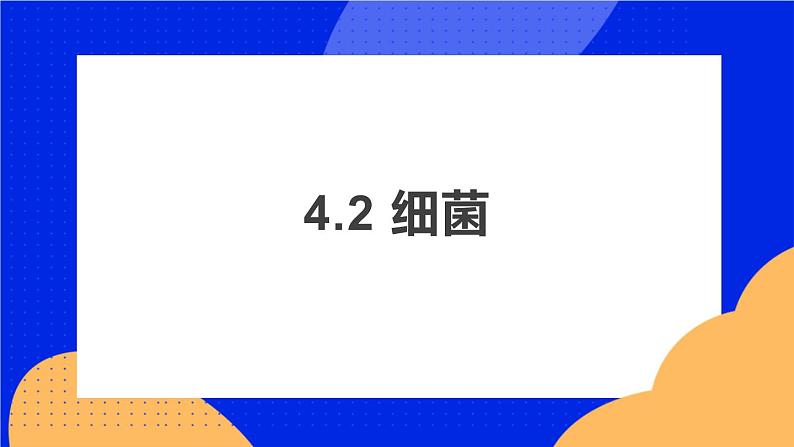 4.2 细菌 课件+素材03