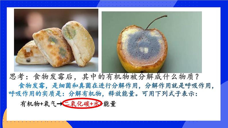 4.4 细菌和真菌在自然界中的作用 课件第3页