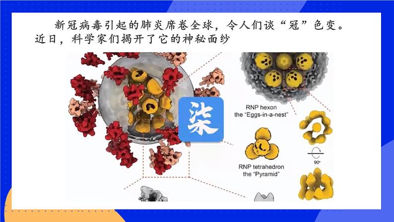 5 病毒 课件+素材01