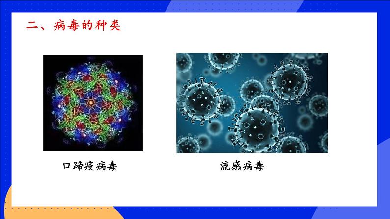 5 病毒 课件+素材06