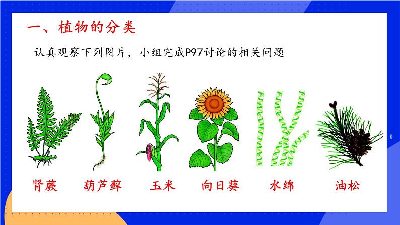 6.1.1 尝试对生物进行分类 课件+素材03