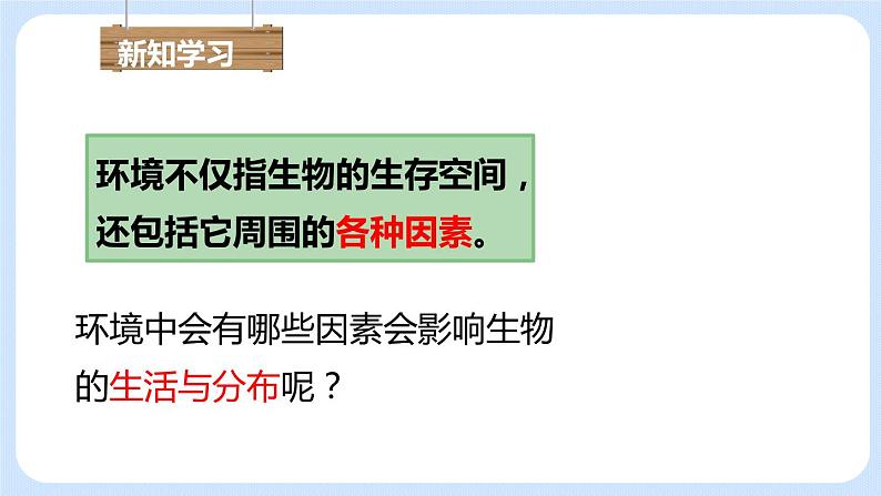 1.2.1生物与环境的关系 课件第5页