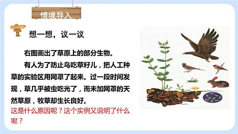 1.2.2生物与环境组成生态系统 课件03