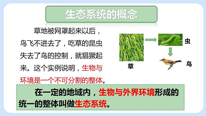 1.2.2生物与环境组成生态系统 课件04