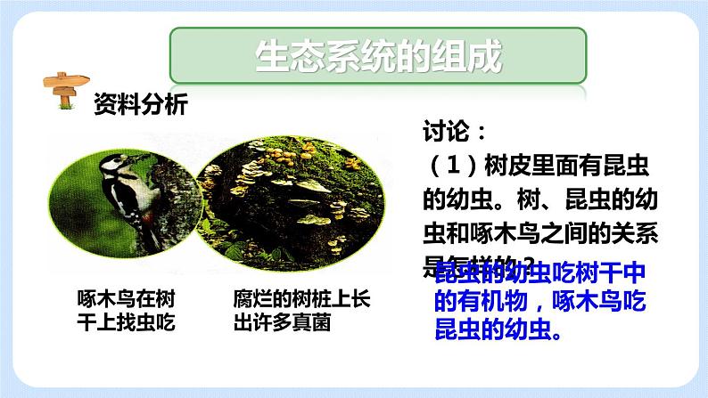 1.2.2生物与环境组成生态系统 课件06