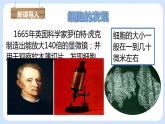 2.1.1 練習(xí)使用顯微鏡 課件