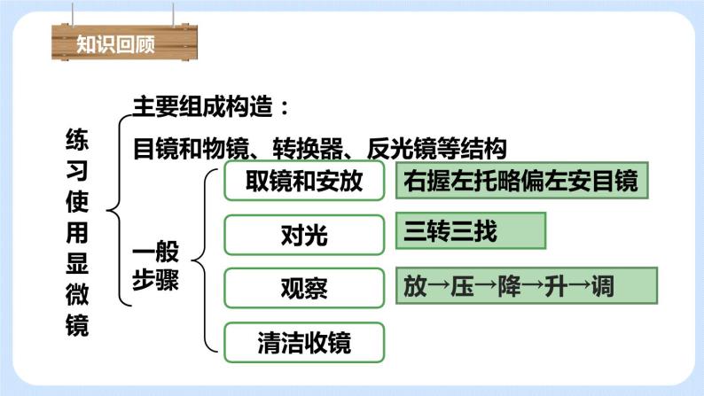 2.1.2植物细胞 课件+素材01