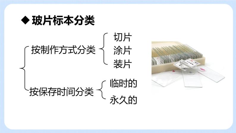 2.1.2植物细胞 课件+素材07