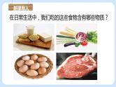 2.1.4细胞的生活 课件