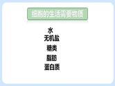 2.1.4细胞的生活 课件
