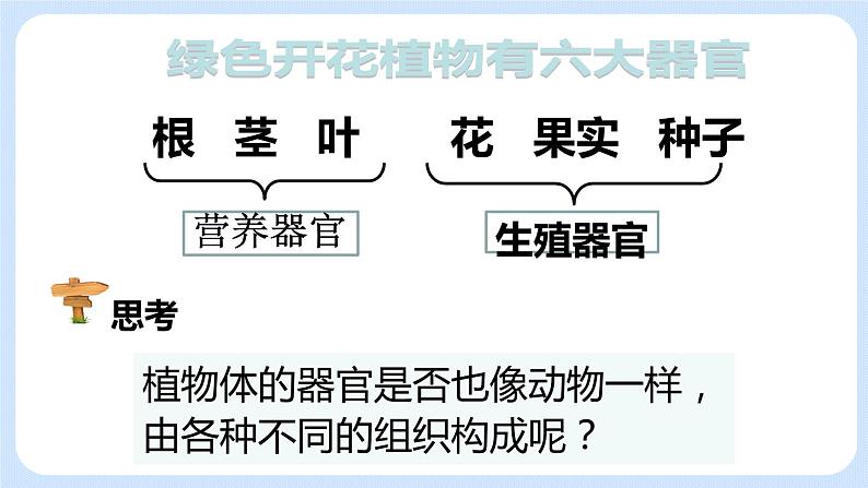 2.2.3 植物体的结构层次 课件第6页