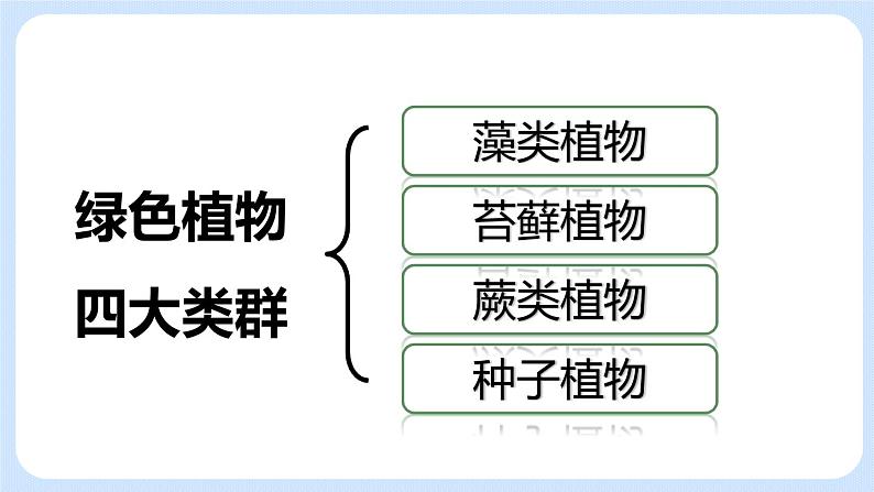 3.1.1藻类、苔藓和蕨类植物 课件03