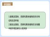 3.1.1藻类、苔藓和蕨类植物 课件