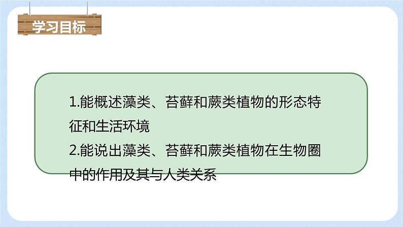 3.1.1藻类、苔藓和蕨类植物 课件05