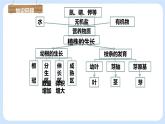 3.2.3 開(kāi)花和結(jié)果 課件