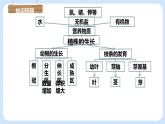 3.2.3 开花和结果 课件