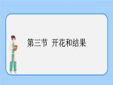 3.2.3 開(kāi)花和結(jié)果 課件