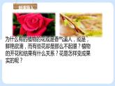 3.2.3 開(kāi)花和結(jié)果 課件