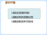 3.2.3 開(kāi)花和結(jié)果 課件