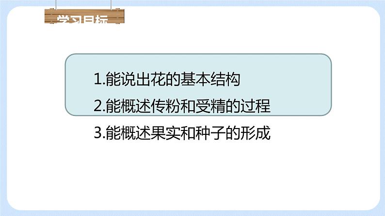 3.2.3 开花和结果 课件04