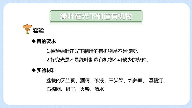 3.4绿色植物是生物圈中有机物的制造者 课件04