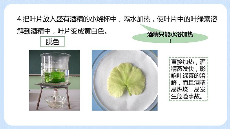 3.4绿色植物是生物圈中有机物的制造者 课件07