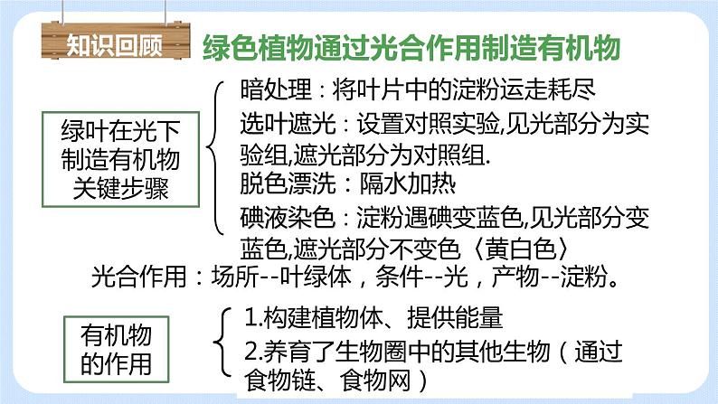 3.5.1 光合作用吸收二氧化碳释放氧气 课件第2页