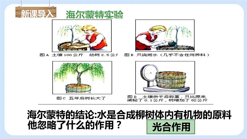 3.5.1 光合作用吸收二氧化碳释放氧气 课件第4页