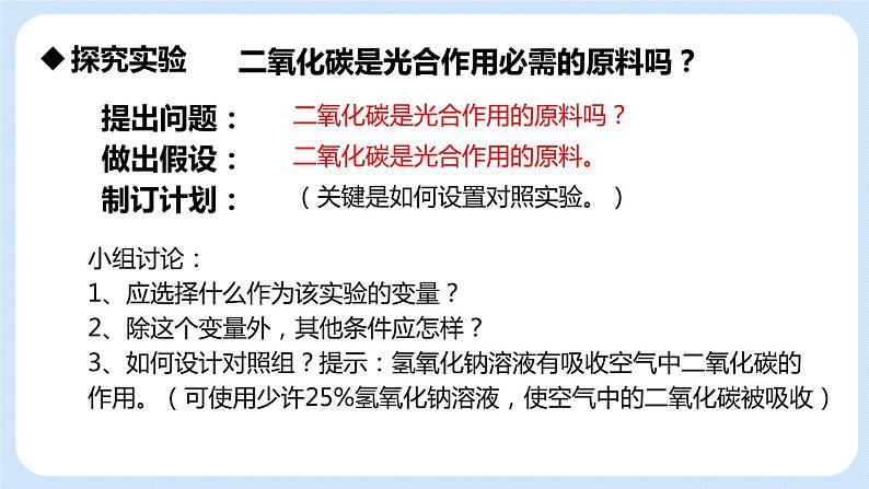 3.5.1 光合作用吸收二氧化碳释放氧气 课件第7页