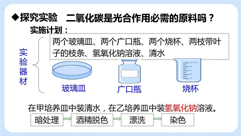 3.5.1 光合作用吸收二氧化碳释放氧气 课件第8页