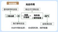 人教版 (新课标)七年级上册第二节 绿色植物的呼吸作用精品课件ppt