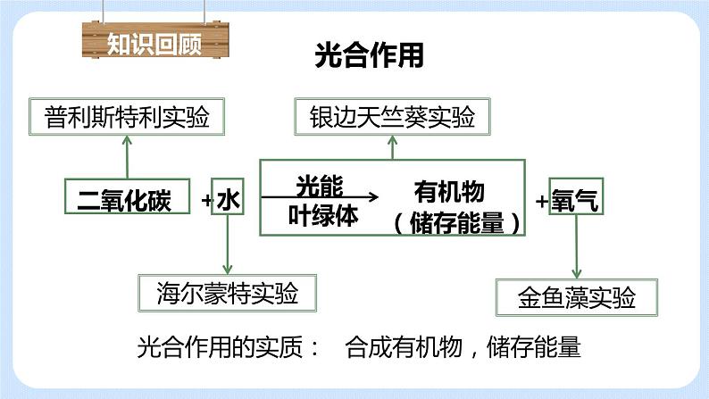 3.5.2绿色植物的呼吸作用 课件01