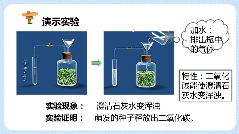 3.5.2绿色植物的呼吸作用 课件06