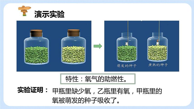 3.5.2绿色植物的呼吸作用 课件07