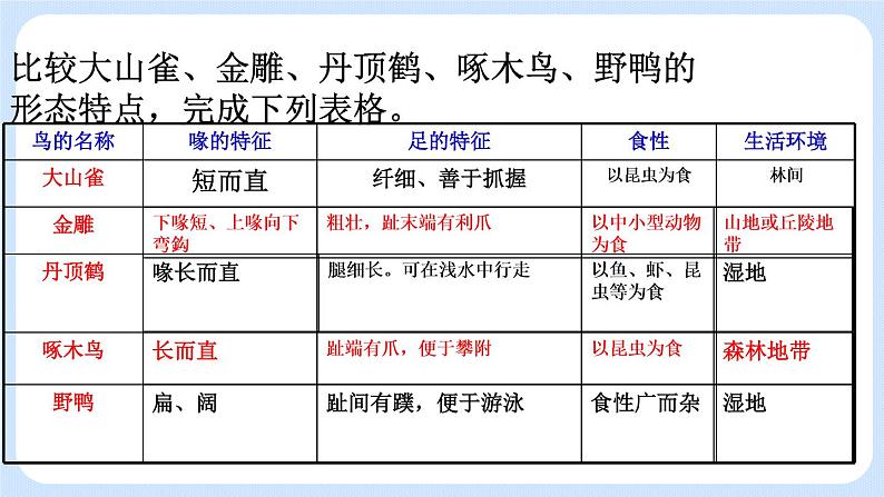 5.1.6  鸟 课件04