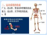 5.2.1  动物的运动 课件