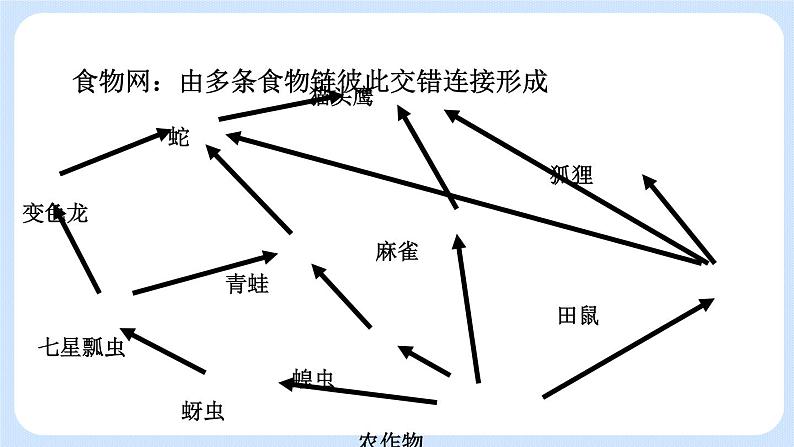 5.3  动物在生物圈中的作用 课件05