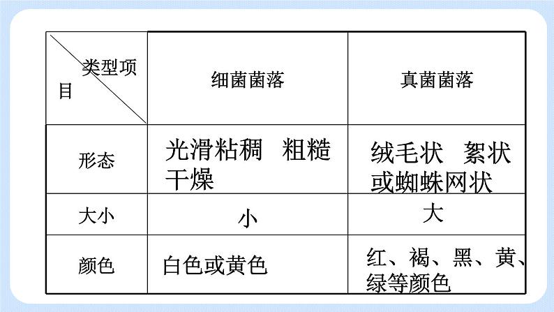 5.4.1  细菌和真菌的分布 课件06