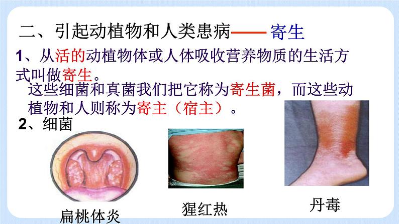 5.4.4  细菌和真菌在自然界中的作用 课件04